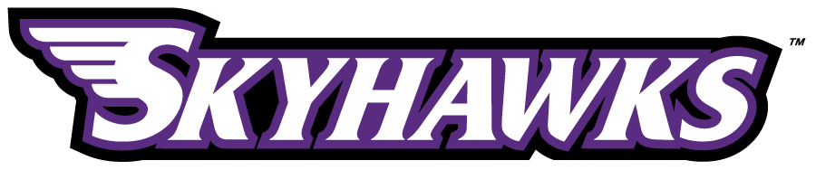 Stonehill Skyhawks 2005-2017 Wordmark Logo v2 diy DTF decal sticker